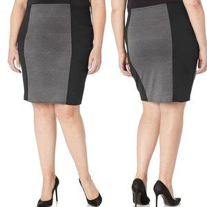 Forever 21 Pencil Skirt with zipper back.